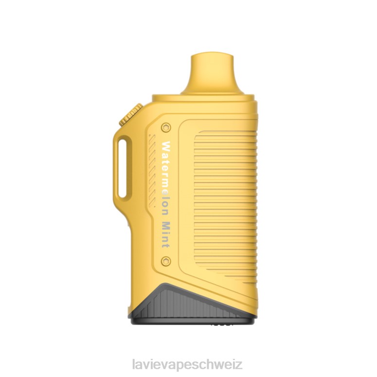 Wassermelonenminze