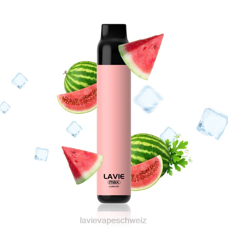LAVIE Kaufen - LAVIE BAR 5000 Züge – max üppiges Eis 4HR8H277
